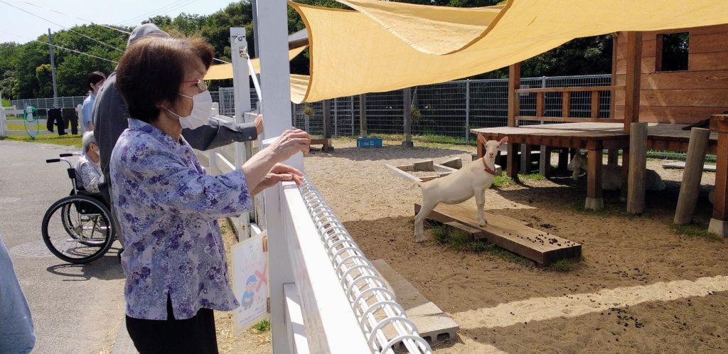 入居者が屋外の動物飼育エリアで羊とのふれあい活動を楽しんでいる風景